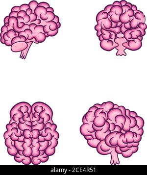 Vector illustration of human brain cartoon isolated Stock Vector Image ...