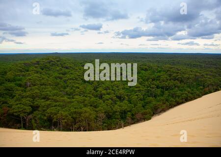 Dune of Pilat and green forest . Scenery of sandy dune and conifer woodland Stock Photo