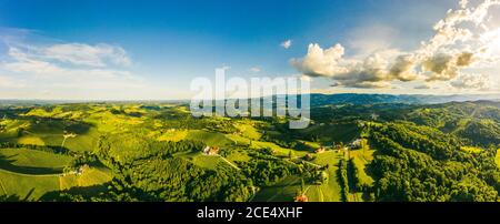 South styria vineyards aerial panorama landscape. Grape hills view from wine street in summer. Stock Photo