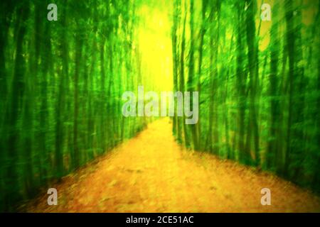 Defocused forest for background. Blurred and de focused fresh green colors in forest Stock Photo