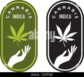 Cannabis Indica vector logo or badge. Elegant marijuana design with hand and cannabis leaf. Stock Vector