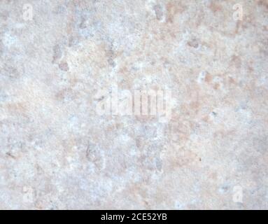 Pale gray marble with beige veins and sprinkles, close-up of polished natural stone surface. Background, texture. Stock Photo