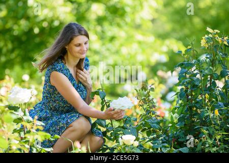 Girl in green garden admires white rose on bush Stock Photo