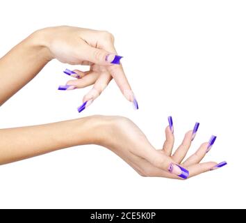 Hands with blue french acrylic nails manicure and painting Stock Photo