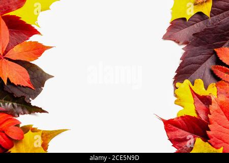 Autumn composition, frame of autumn colored leaves set Stock Photo