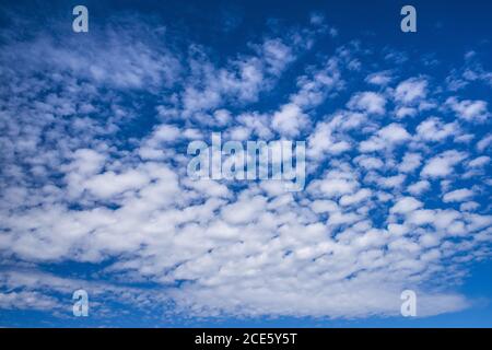 background of beautiful cumulus clouds on sky Stock Photo