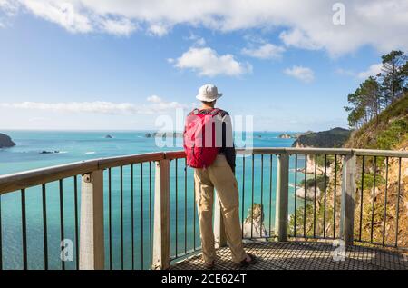 Beautiful trail in the Ocean Beach, New Zealand. Man walking  along the wooden boardwalk. Inspiring natural and travel background Stock Photo