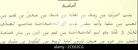 Biographien Muhammeds Seiner Gefahrten Und Der Spateren Trager Des Islams Bis Zum Jahre 230 Der Flucht Jy I Ajtjua E Gt 5 Er C O Lxju U Lf Q E