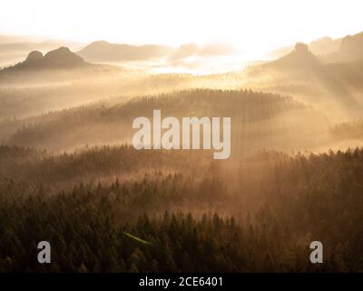 Bright dawn in early morning on countryside.  Landscape of natural wild nature in warm morning sunlight. Sunrise golden light of Stock Photo
