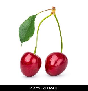 Two cherries isolated Stock Photo