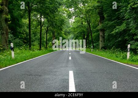 An empty blacktop two-lane road in deep lush green forest with copy space