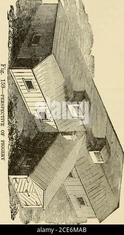. Barn plans and outbuildings . Fig. 158—COVERED FEEDING FLOOR Hogs should never be fed unclean material. Figure 158illustrates the arrangement of the feeding floor andfeeding pen. This floor is partially under roof. PLAN OF A PIGGERY Figure 159 represents the elevation of a piggery. Themain building is twenty-two by fifty feet, and the wingtwelve by sixteen feet. It is supplied with light and airby windows in front, ventilators on the roof, and byhanging doors or shutters in the upper part of the sidingat the rear of each stall or apartment. These last arenot seen in the on^ravinfr. 160 BARN Stock Photo