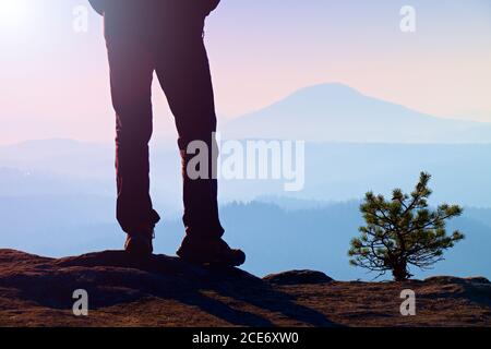 Man hiker legs in tourist boots stand on mountain rocky peak. Small pine bonsai. Stock Photo