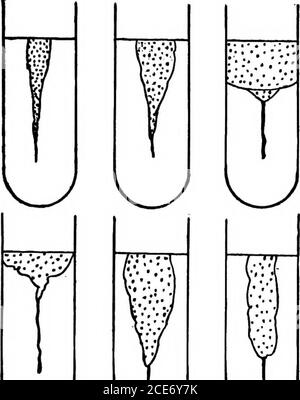 . A laboratory guide in bacteriology, for the use of students, teachers, and practitioners . ^y v^ v y v^ • •• Fig. 28Stab-Cultures vv METHOD OF DESCRIBING CULTURES 67. y KJ KU Fig. 29Liquefaction of Gelatio Stock Photo