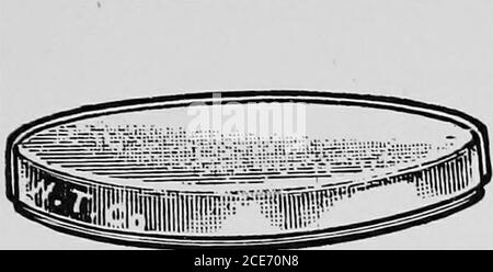 . A laboratory guide in bacteriology, for the use of students, teachers, and practitioners . Retort-Stand Cunscn BurnerFig. I Culture-Tube Pipette LABORATORY RULES. Petri Dish Stock Photo