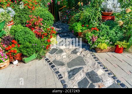 colorful flower composition with a stone pathway to it gardening concept Stock Photo