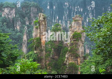 Landscape of Stone Tianzi Mountain pillars in Zhangjiajie Stock Photo