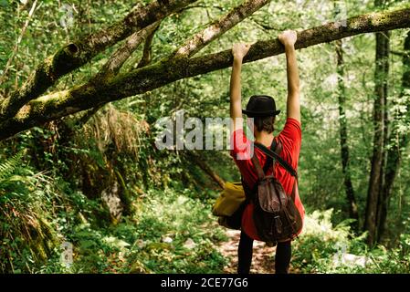 Back view of androgynous female tourist with backpack hanging on tree branch in woods while traveling around Asturias in summer Stock Photo