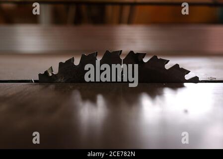 Detail of circular saw metal blade placed between wooden planks in carpentry workshop Stock Photo