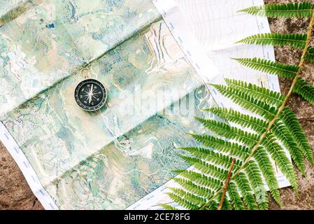 Top view of paper map and modern compass placed on rock with fern leaf in forest Stock Photo