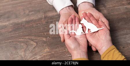 Concept of pet insurance with paper cat and dog in hands Stock Photo