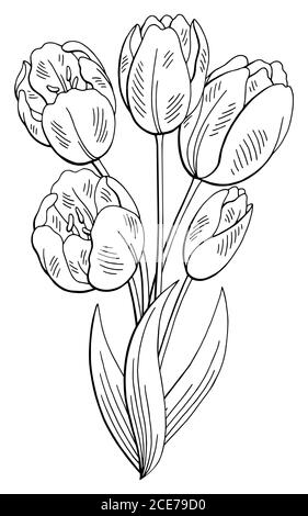 Vector black contour of a tulip flower isolated on a white background ...
