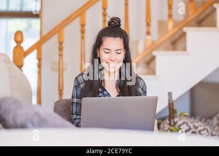 Focused young female freelancer in casual clothes sitting on sofa and working on project with laptop in cozy living room at home Stock Photo