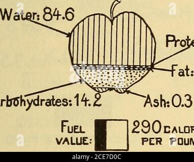 . Dr. Evans' How to keep well; . Water: 78.3 Fuel value385 calories per pound Carbohydrates: 3.Ash7T.( UEL VALUE: 85 CALORIESPER POUND Fig. 175. hours, and, if taken just before bedtime, often will disturb sleep. Laxativefruits are figs, raisins, prunes, apples, grapes, gooseberries, plums, andcurrants. Fruit should not be eaten to excess, is best eaten at mealtime, andshould not be eaten when unripe or overripe. Persons suffering from sourstomach should eat fruit guardedly. Fruits and grains make a good combina-tion at meals; sour fruits and milk do not go together. FRUIT AS FOOD 475 Fresh an Stock Photo