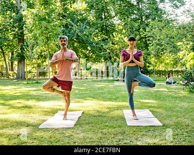 Calm couple in sportswear standing in Vrksasana on yoga mats and balancing on leg while practicing mindfulness and looking at camera Stock Photo