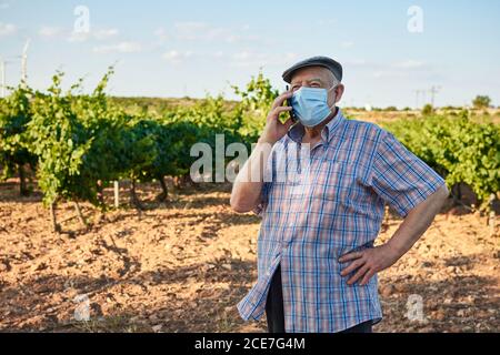 Senior male in protective mask standing on rural road and reading message on mobile phone in summer day Stock Photo