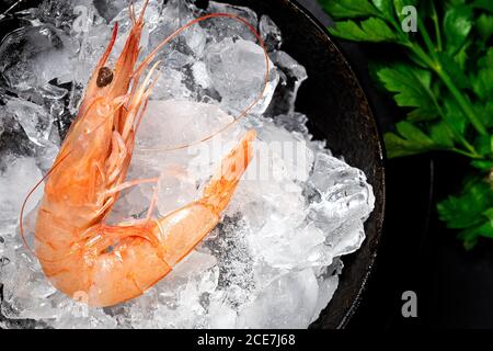 Prawn in bowl with ice and parsley placed on black table in luxury restaurant Stock Photo