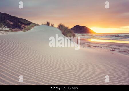 Dunes on ocean coast Stock Photo