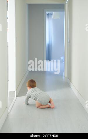 Back view of anonymous little baby in gray bodysuit crawling on floor in cozy room at home Stock Photo