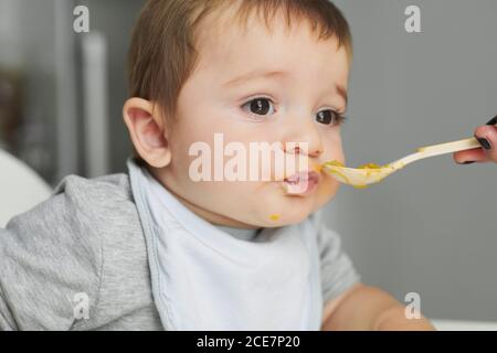 Adorable little baby sitting on high chair and eating fresh avocado from spoon held by crop anonymous mother Stock Photo