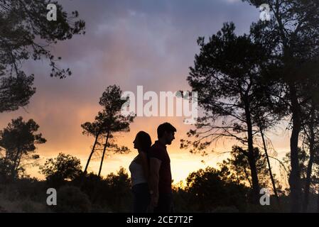 Low angle side view of tender couple standing back to back and holding hands in woods on background of amazing sunset sky Stock Photo