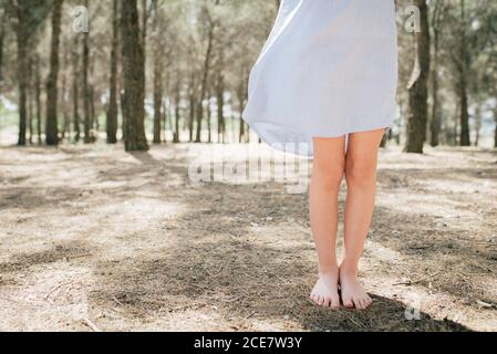 Crop unrecognizable slender barefoot child in pale blue dress standing on dry terrain in alley on sunny day in countryside Stock Photo