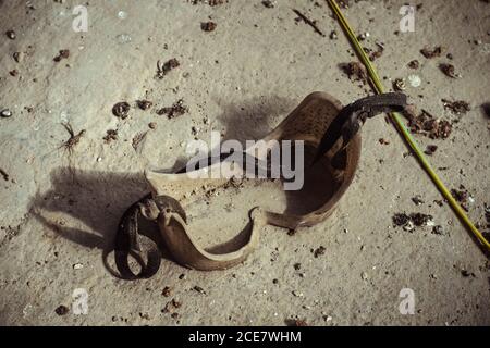 From above of dusty protective plastic glasses placed on shabby concrete floor of abandoned plant Stock Photo