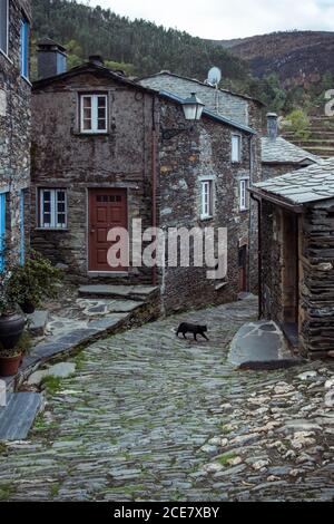 Exterior of aged masonry building with windows and wooden door cobblestone street and cat walking on street with mountains behind under cloudy sky Stock Photo