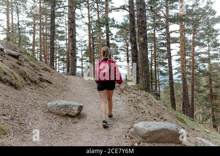 Back view of unrecognizable young Woman backpacker walking on stony path among coniferous forest on mountain slope during hiking in Navacerrada in Spain Stock Photo