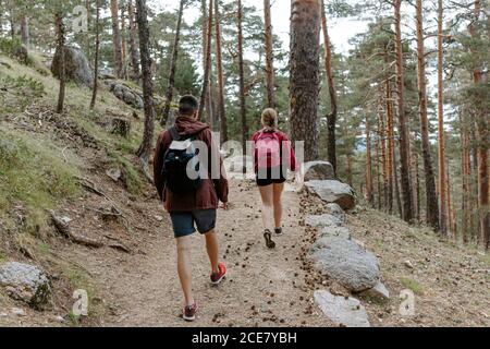 Back view of unrecognizable young couple of backpackers walking on stony path among coniferous forest on mountain slope during hiking in Navacerrada in Spain Stock Photo