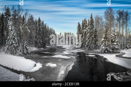 Wild river flowing through magnificent forest in winter against blue sky Stock Photo