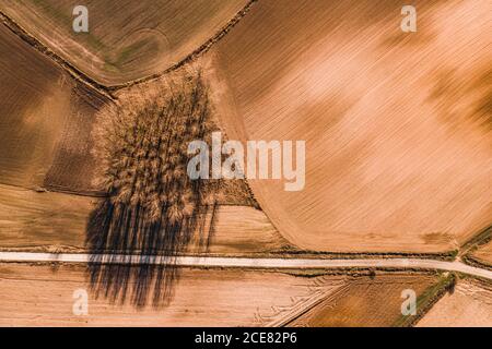 From above aerial view of straight road going through agricultural field in rural area in summer day Stock Photo
