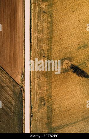 From above aerial view of straight road going through agricultural field in rural area in summer day Stock Photo