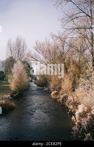Picturesque scenery of river with calm flow surrounded by trees and bushes covered with frost in winter in Burgos Stock Photo