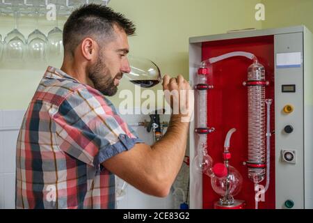 Side view focused male in checkered shirt tasting red wine by smelling while working in wine laboratory Stock Photo
