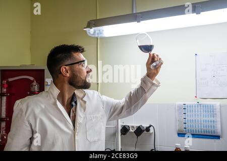Side view focused male tasting red wine by smelling while working in wine laboratory Stock Photo