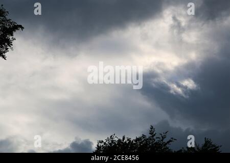 Dramatic sky just before the storm with few branches on the edge of the picture Stock Photo