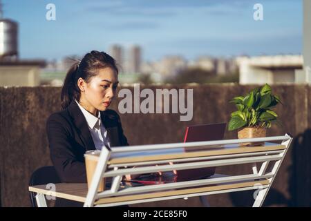 Side view of young Asian business lady in formal outfit using laptop while working remotely on rooftop terrace in city Stock Photo