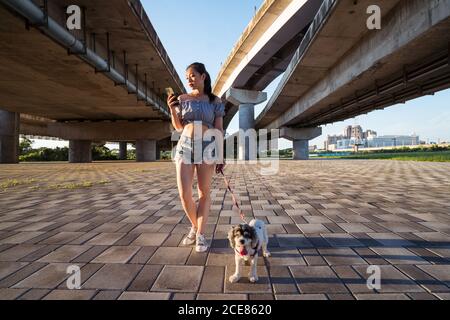 Fit positive Asian Woman in casual clothes standing on pavement with small obedient purebred dog while using smartphone near bridge on sunny day in summer Stock Photo