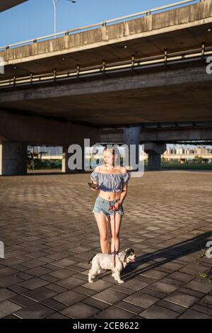 Fit positive Asian Woman in casual clothes standing on pavement with small obedient purebred dog while using smartphone near bridge on sunny day in summer Stock Photo